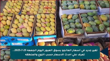 تغير جديد في أسعار المانجو بسوق العبور اليوم الجمعة 25-7-2025.. تعرف على أحدث الأسعار حسب النوع والمنطقة